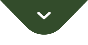 atendimento psicológico curitiba